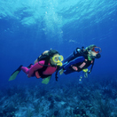 Children's Scuba Diving Lessons: Facts & Ideas